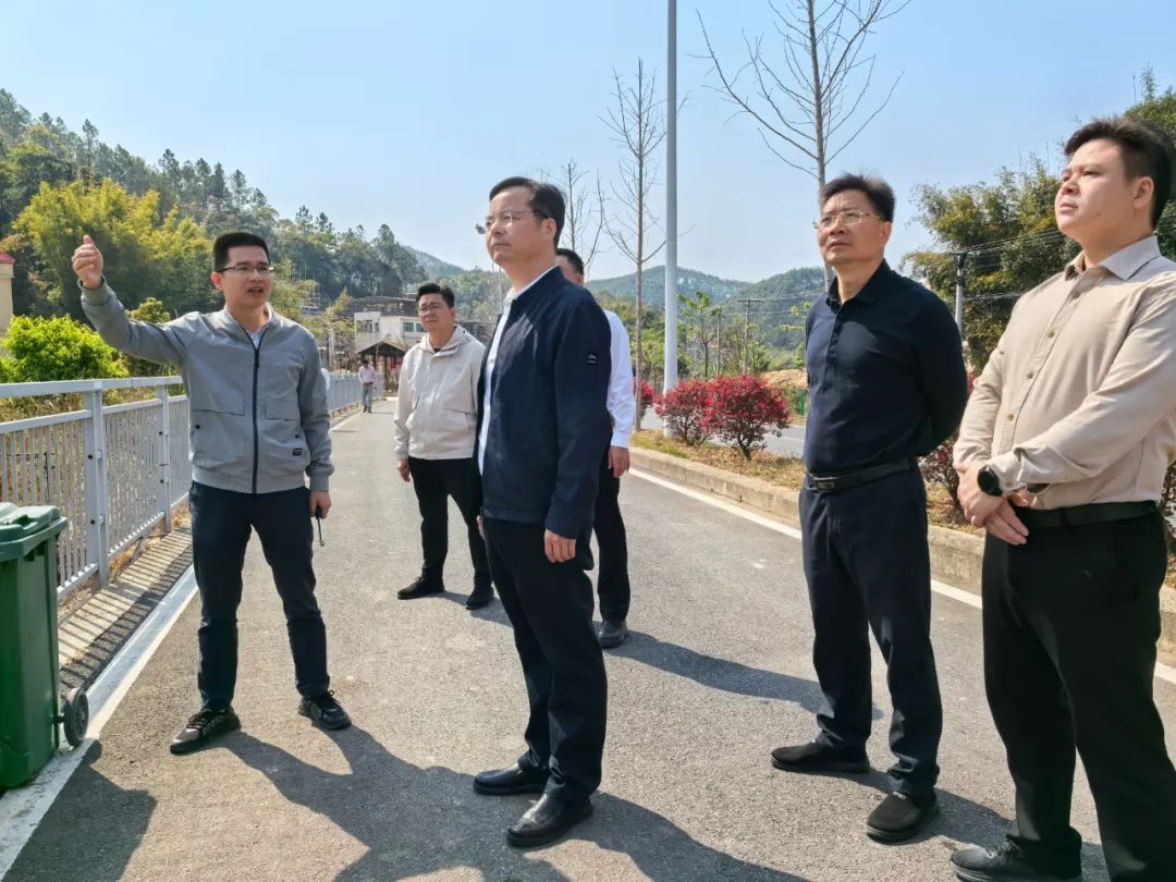 堅持規劃引領、壓實工作責任！縣長鄧紅衛督導九和鎮鄉村風貌示范帶建設